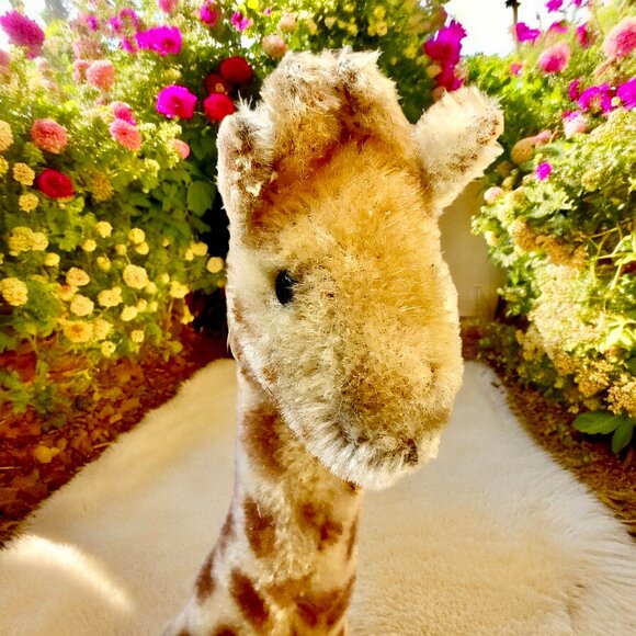 Vintage Steiff Giraffe Mohair Plush 11" Missing Button & Tag - Picture 6 of 13